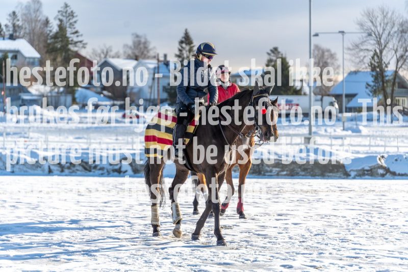 20220206-132720-DSC1595