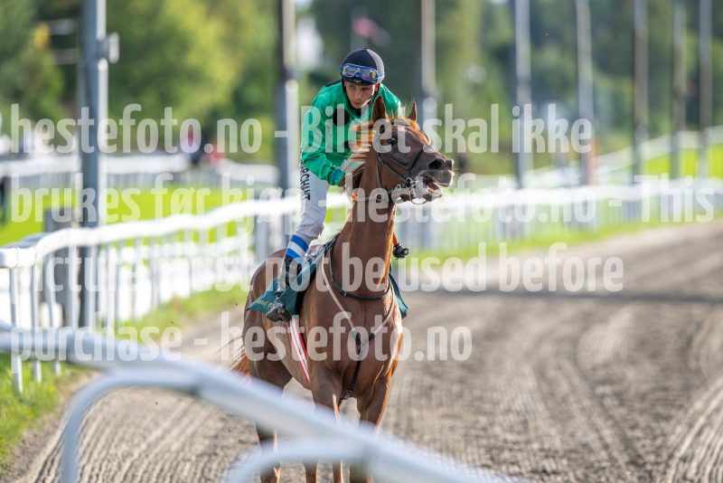 20240912-181332-DSC_9988