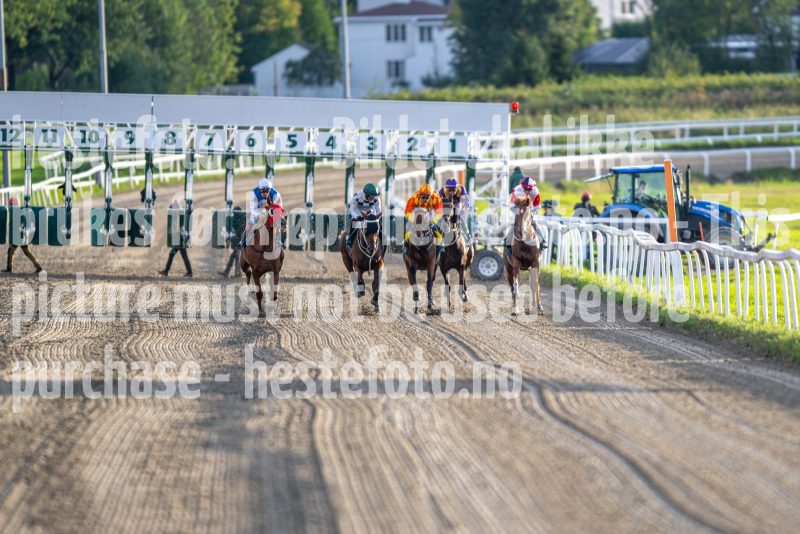 20240912-184616-DSC_0917