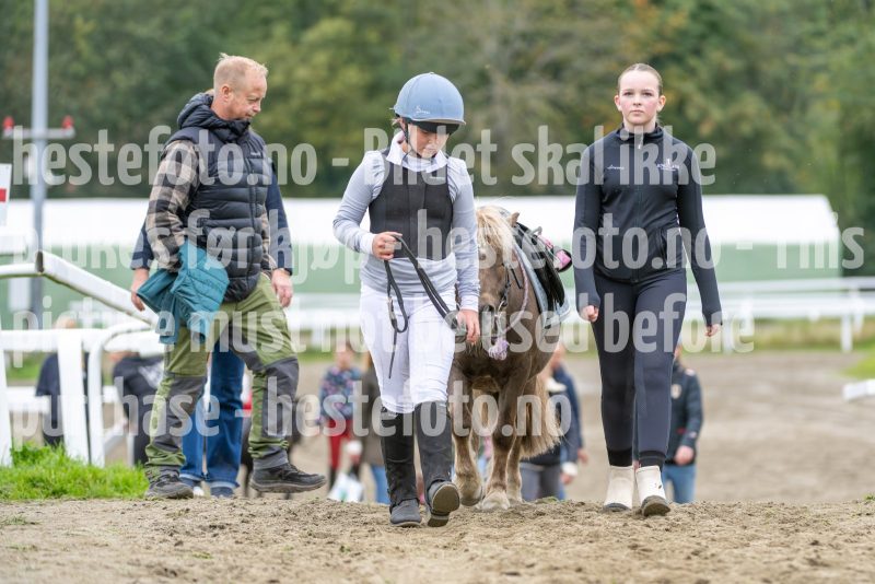 20240921-140642-DSC_6408