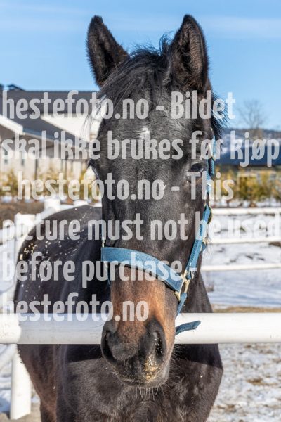 20220220-132336-DSC2820