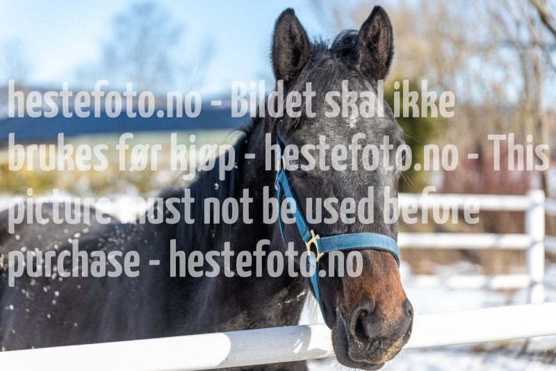 20220220-132347-DSC2829