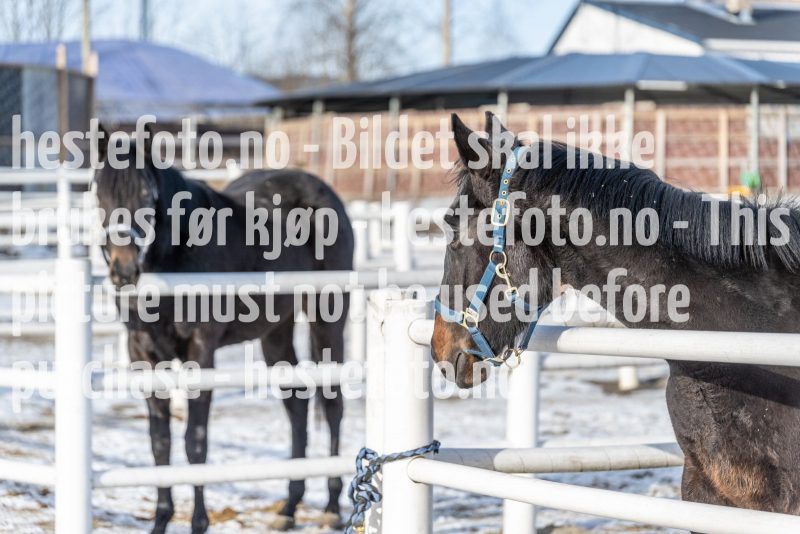 20220220-132720-DSC2869
