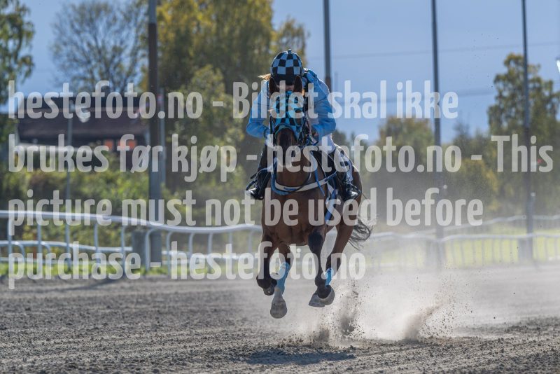 20240929-145625-DSC3834