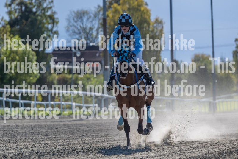 20240929-145625-DSC3837