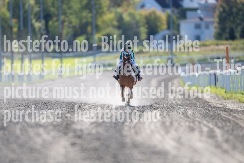 20240929-145242-DSC_3407