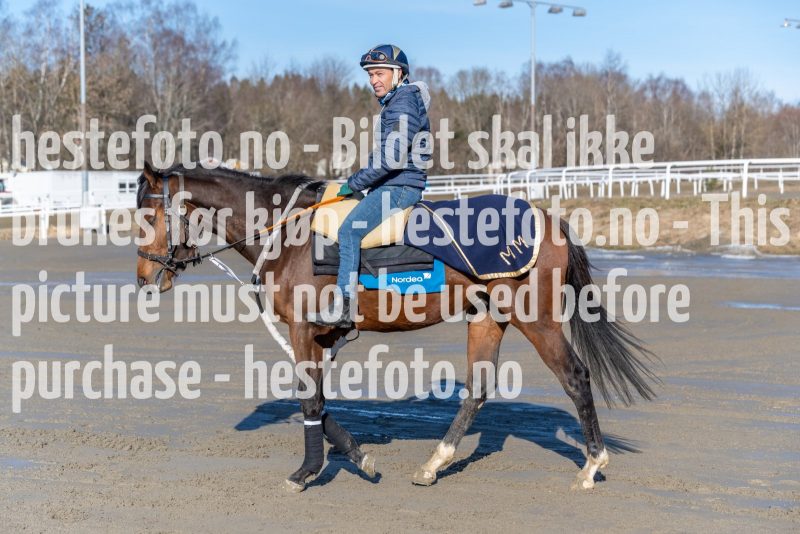 20220305-130627-DSC3947