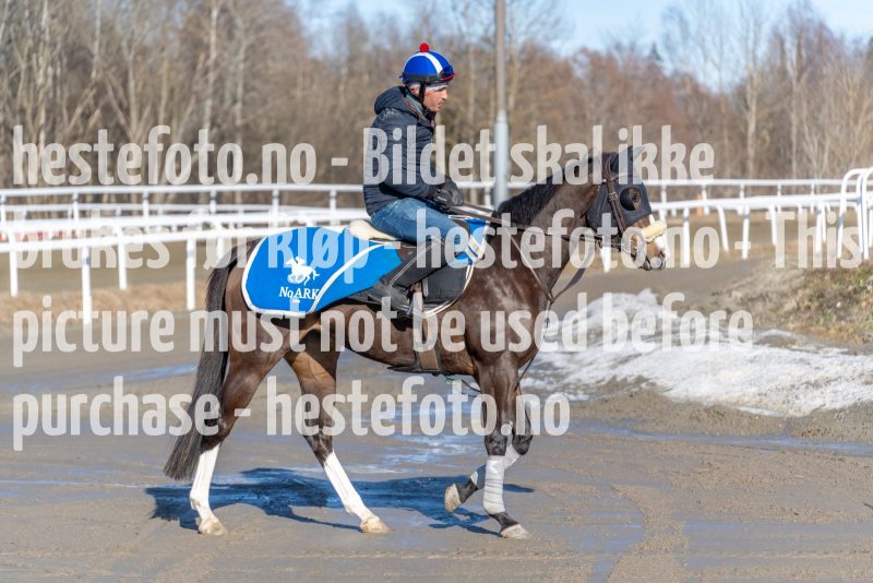 20220305-131028-DSC3990