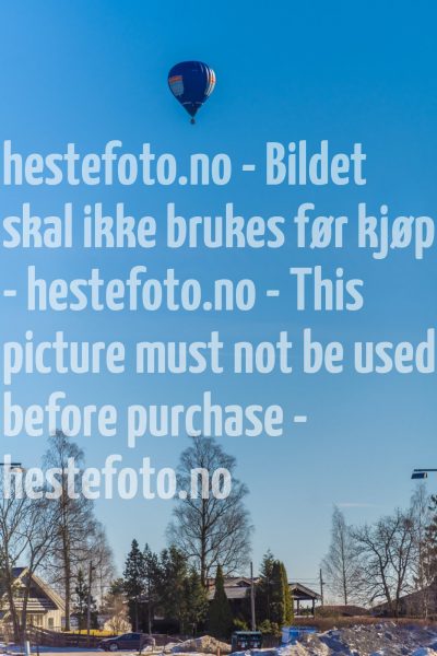 20220305-142724-DSC4045