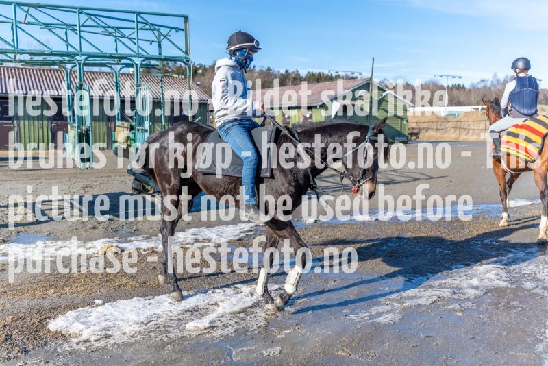 20220305-145708-DSC4243