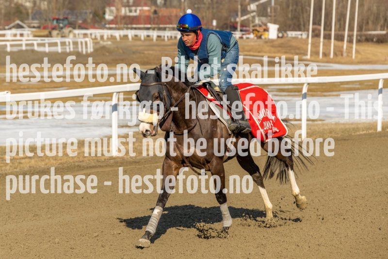 20220312-132336-DSC4601