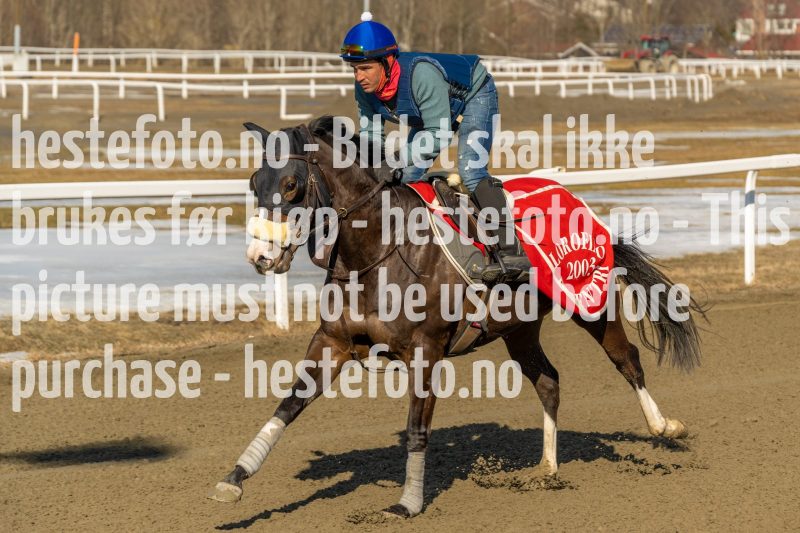 20220312-132337-DSC4605