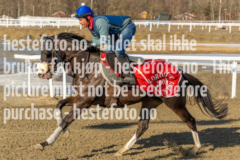 20220312-132338-DSC4613