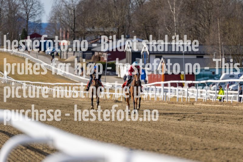 20220326-112225-DSC5802