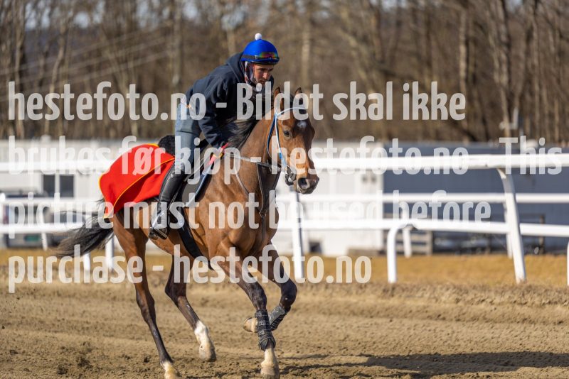 20220326-112234-DSC5815