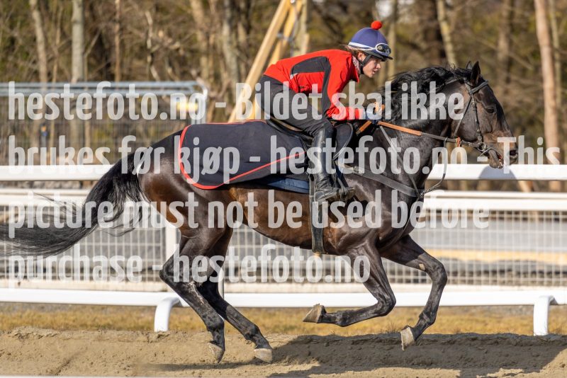 20220326-113034-DSC5888