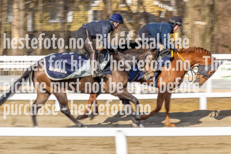 20220326-113512-DSC5981