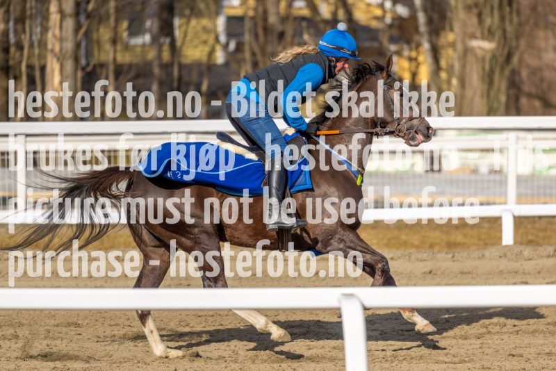 20220326-113757-DSC6012