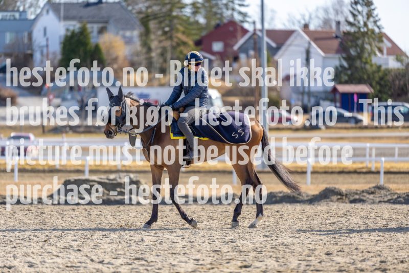 20220326-124710-DSC6107