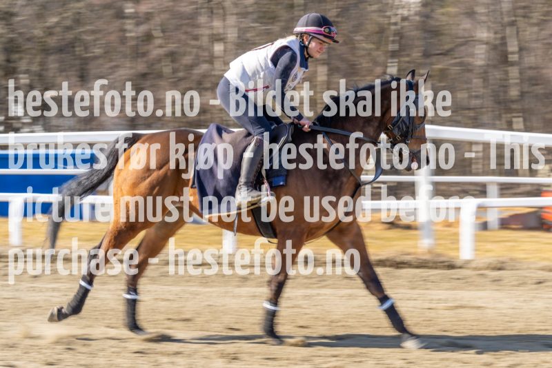 20220326-143343-DSC6214