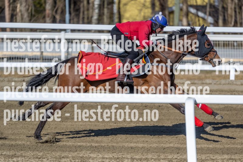 20220402-111332-DSC6817