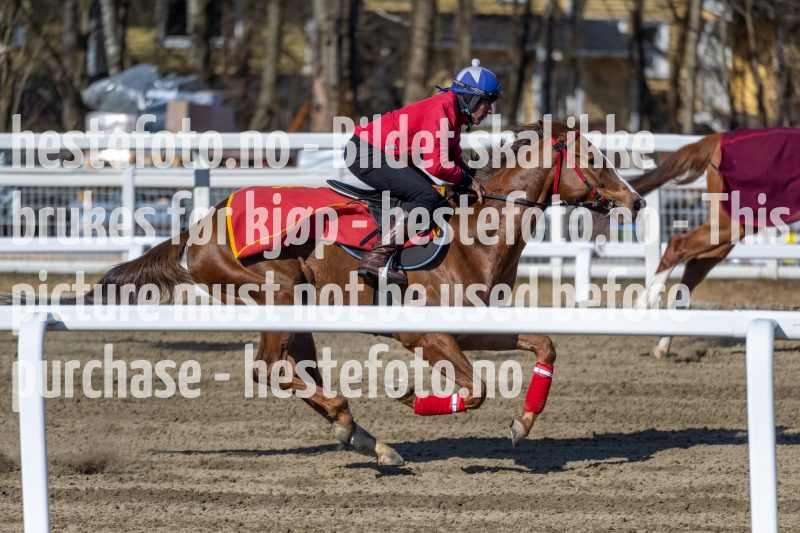 20220402-114600-DSC7141