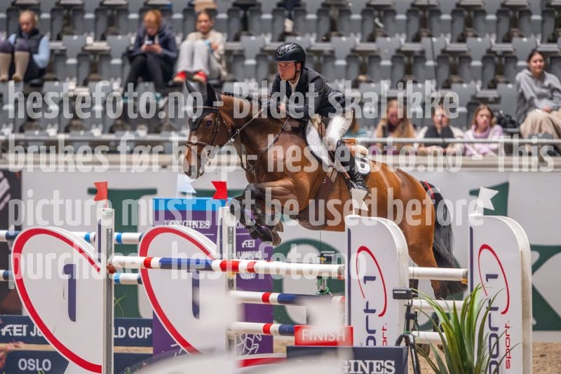 20241018-221602-2024-10-18-22-16-03-87-NIKON-Z-9