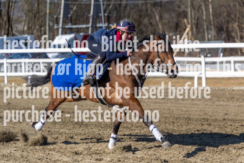 20220402-105926-DSC6774