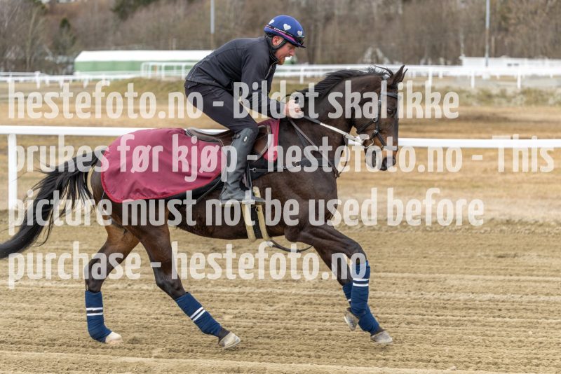20220403-125246-DSC7582