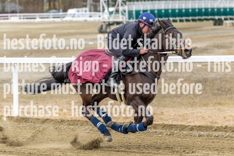 20220403-125508-DSC7609