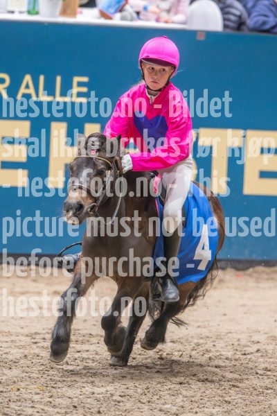 20241020-130812-2024-10-20-13-08-12-16-NIKON-Z-9