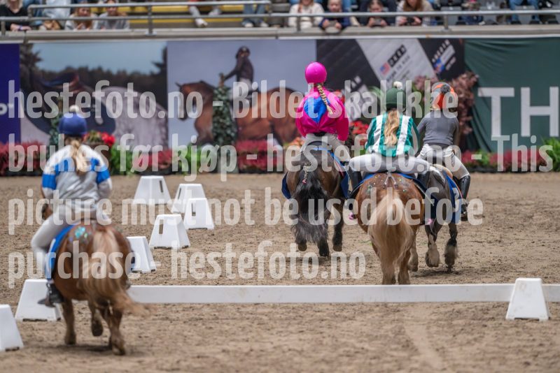 20241020-130903-2024-10-20-13-09-04-84-NIKON-Z-9