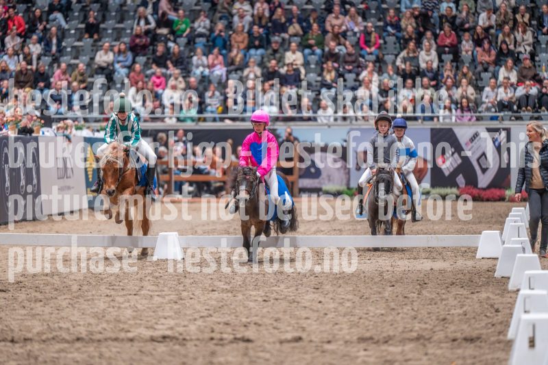 20241020-130925-2024-10-20-13-09-25-17-NIKON-Z-6-2