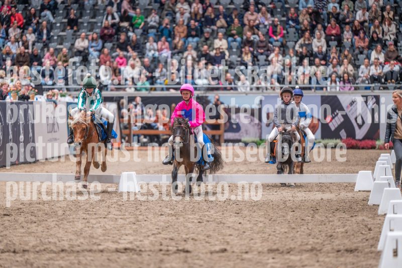 20241020-130925-2024-10-20-13-09-26-28-NIKON-Z-6-2