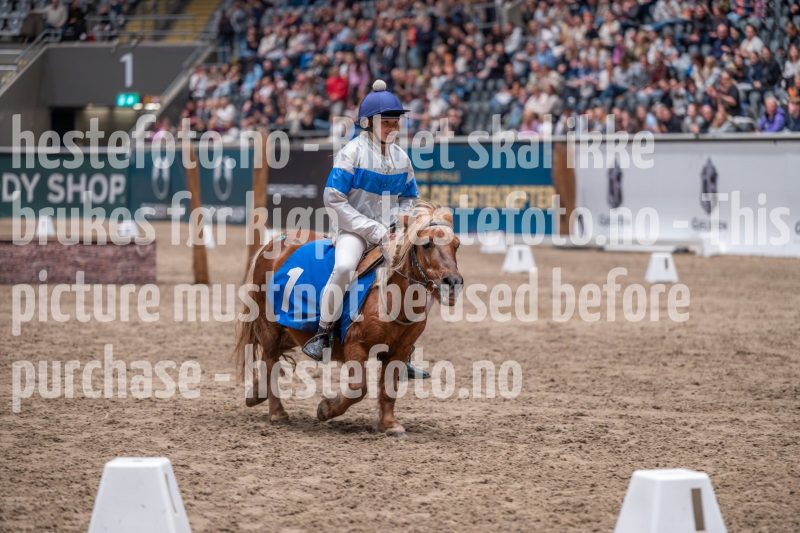 20241020-130934-2024-10-20-13-09-35-76-NIKON-Z-6-2