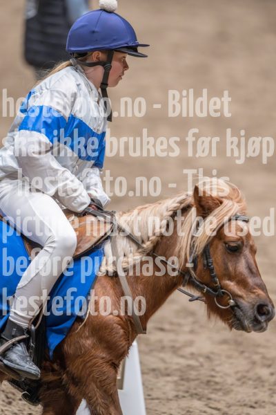 20241020-130931-2024-10-20-13-09-32-89-NIKON-Z-9