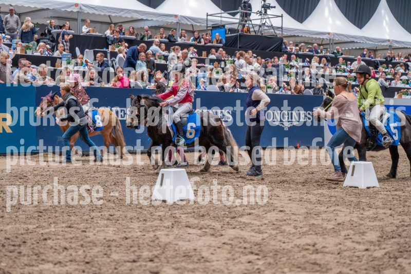 20241020-131046-2024-10-20-13-10-47-77-NIKON-Z-6-2