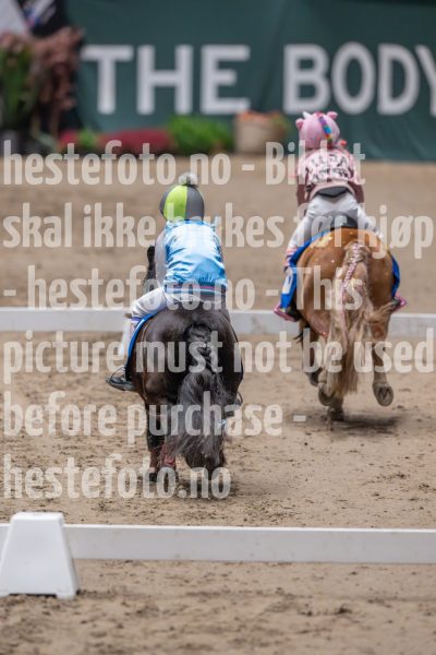 20241020-131050-2024-10-20-13-10-51-79-NIKON-Z-9