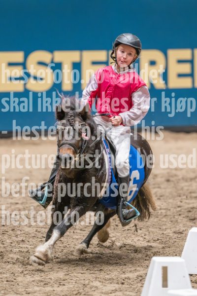 20241020-131104-2024-10-20-13-11-04-03-NIKON-Z-9