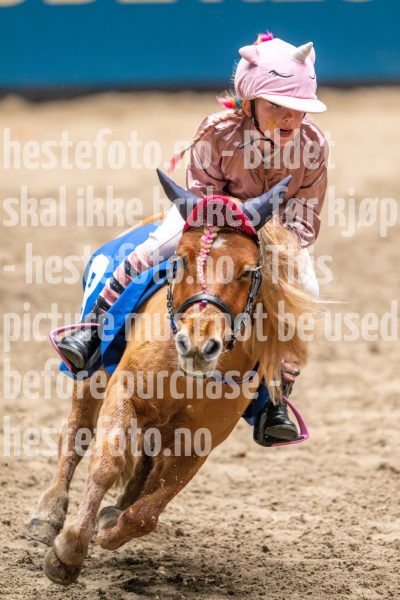 20241020-131105-2024-10-20-13-11-05-39-NIKON-Z-9