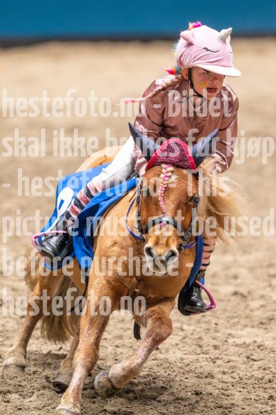 20241020-131105-2024-10-20-13-11-05-49-NIKON-Z-9