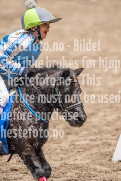 20241020-131108-2024-10-20-13-11-08-17-NIKON-Z-9