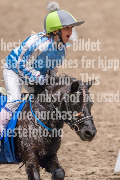 20241020-131107-2024-10-20-13-11-08-82-NIKON-Z-9