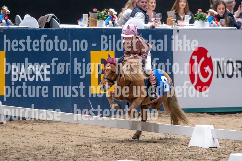 20241020-131504-2024-10-20-13-15-04-06-NIKON-Z-9