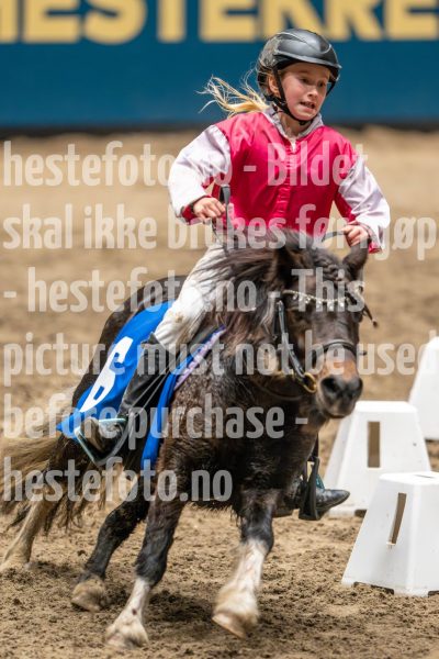 20241020-131508-2024-10-20-13-15-09-73-NIKON-Z-9