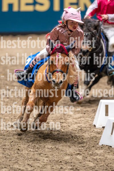 20241020-131507-2024-10-20-13-15-08-98-NIKON-Z-9