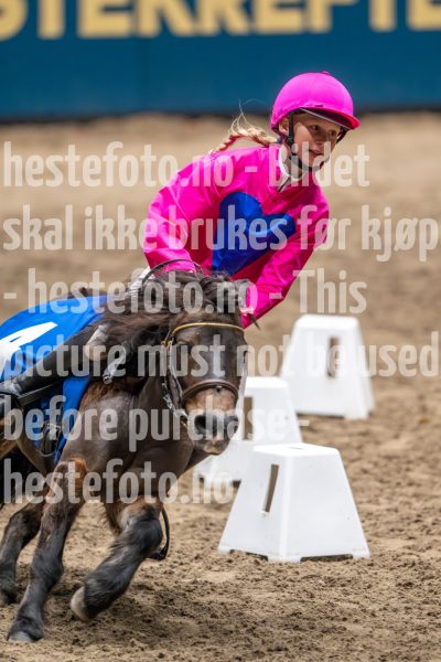 20241020-131510-2024-10-20-13-15-11-70-NIKON-Z-9