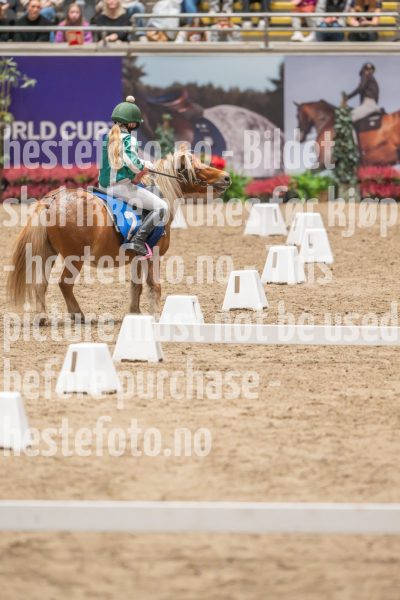 20241020-131516-2024-10-20-13-15-16-54-NIKON-Z-9