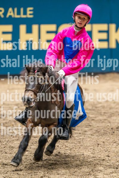 20241020-131530-2024-10-20-13-15-30-24-NIKON-Z-9