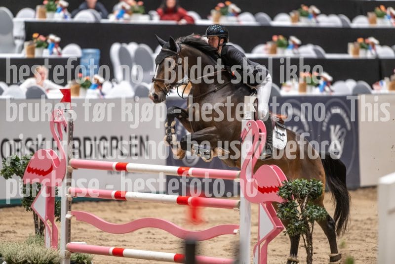 20241020-091612-2024-10-20-09-16-12-06-NIKON-Z-9